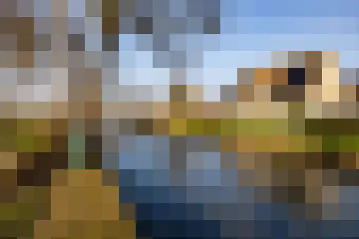 Tramstrjitte 3 Nijland thumbnail 46