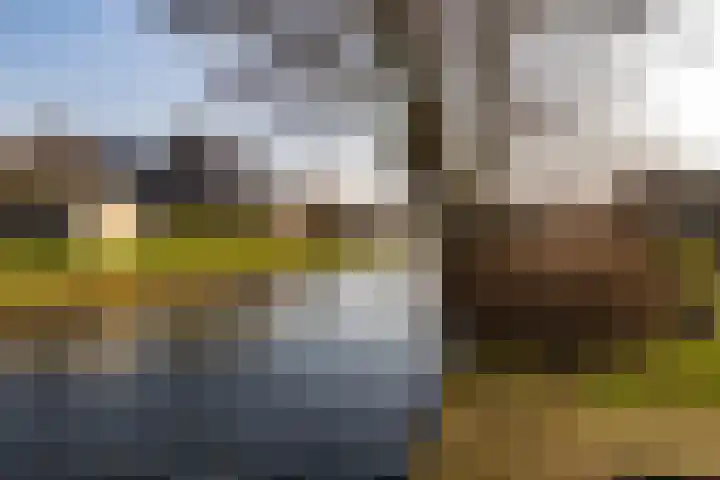 Tramstrjitte 3 Nijland thumbnail 47