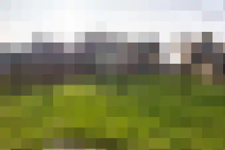 Tramstrjitte 3 Nijland thumbnail 48