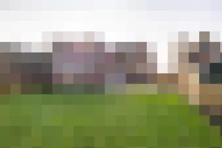 Tramstrjitte 3 Nijland thumbnail 49