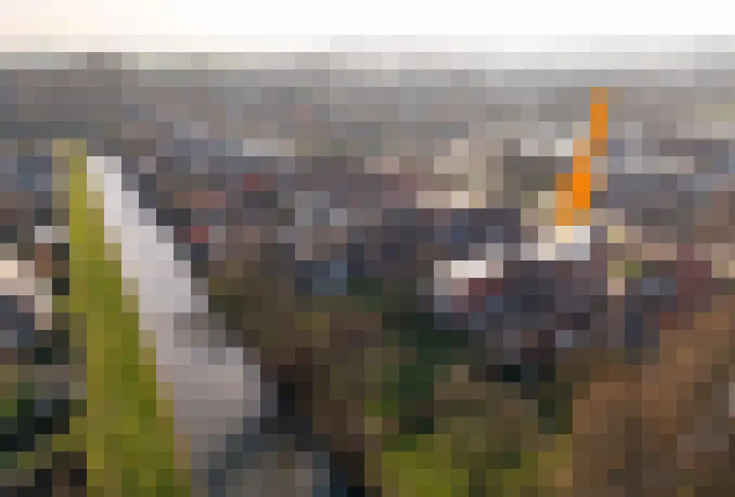 Tramstrjitte 3 Nijland thumbnail 5