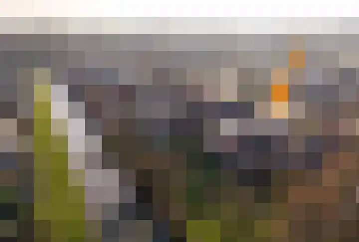 Tramstrjitte 3 Nijland thumbnail 5