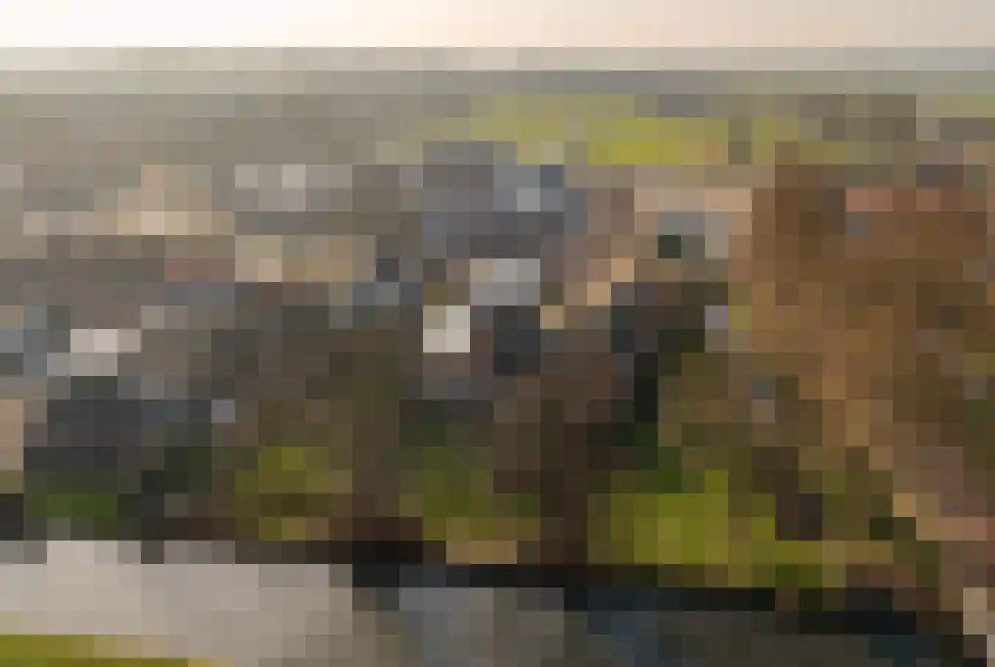 Tramstrjitte 3 Nijland thumbnail 51
