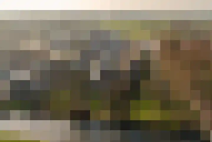Tramstrjitte 3 Nijland thumbnail 51
