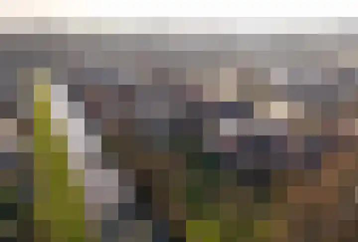 Tramstrjitte 3 Nijland thumbnail 52