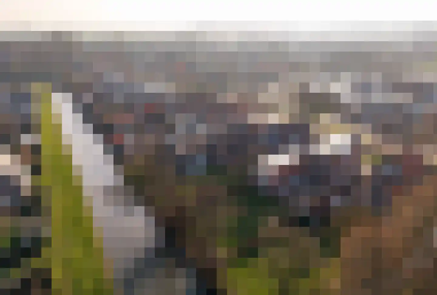 Tramstrjitte 3 Nijland thumbnail 52