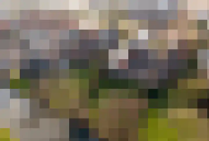 Tramstrjitte 3 Nijland thumbnail 53
