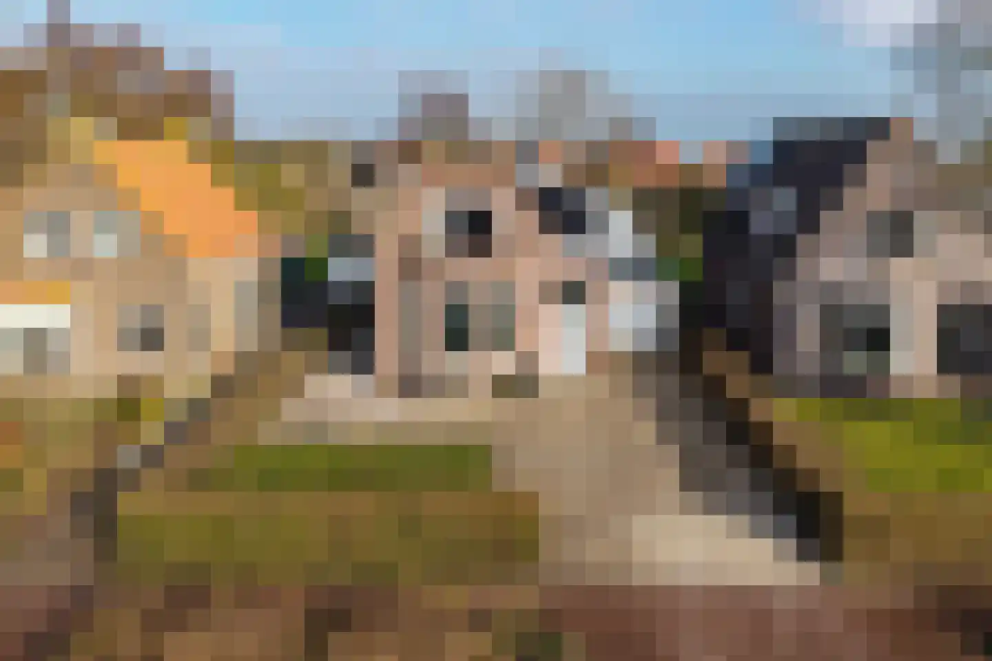 Tramstrjitte 3 Nijland thumbnail 6