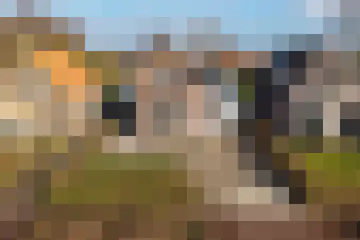 Tramstrjitte 3 Nijland thumbnail 6
