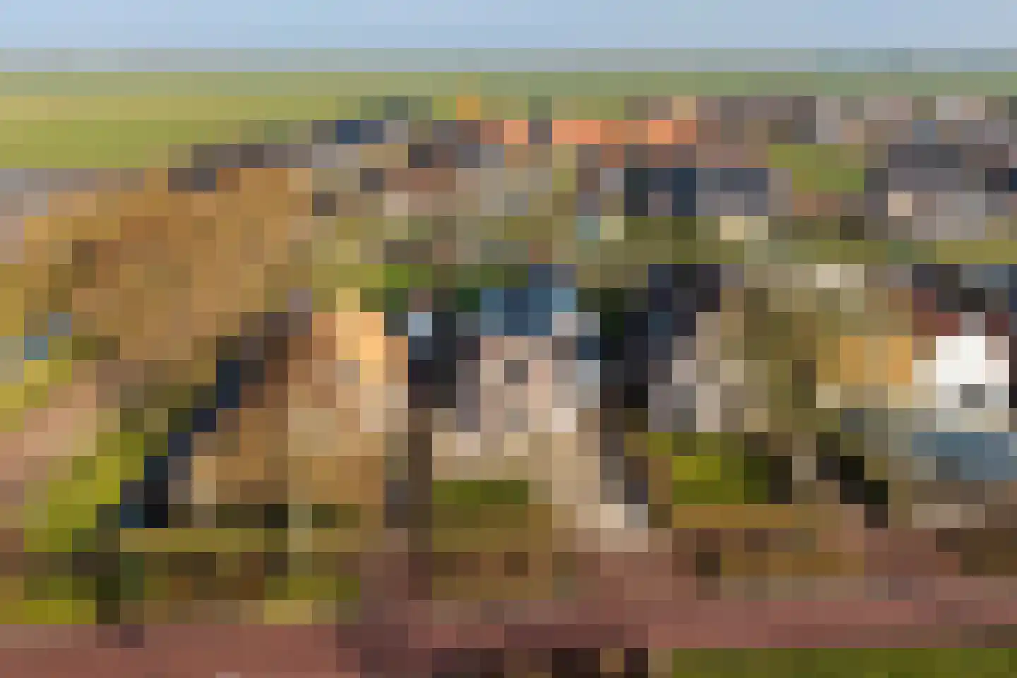 Tramstrjitte 3 Nijland thumbnail 7