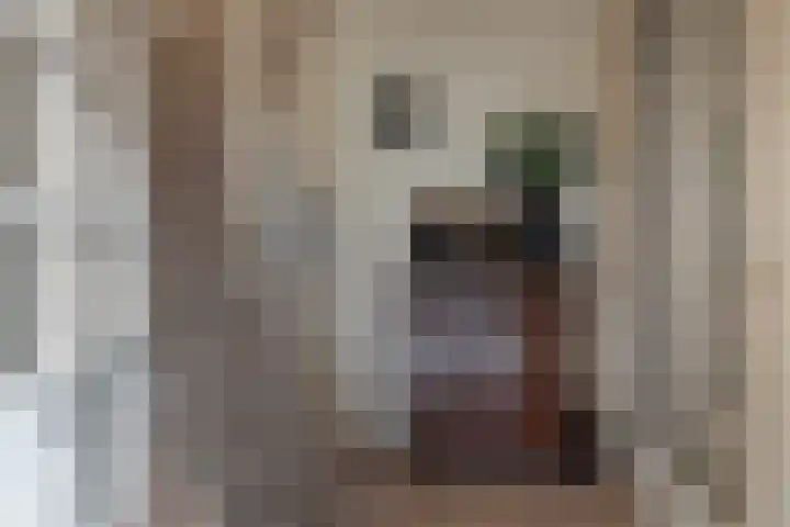 Tramstrjitte 8 Marsum thumbnail 16