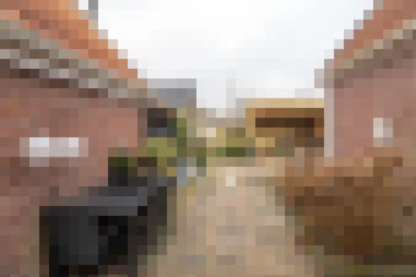 Tramstrjitte 8 Marsum thumbnail 24
