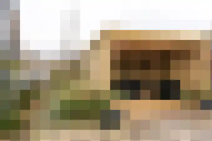 Tramstrjitte 8 Marsum thumbnail 25