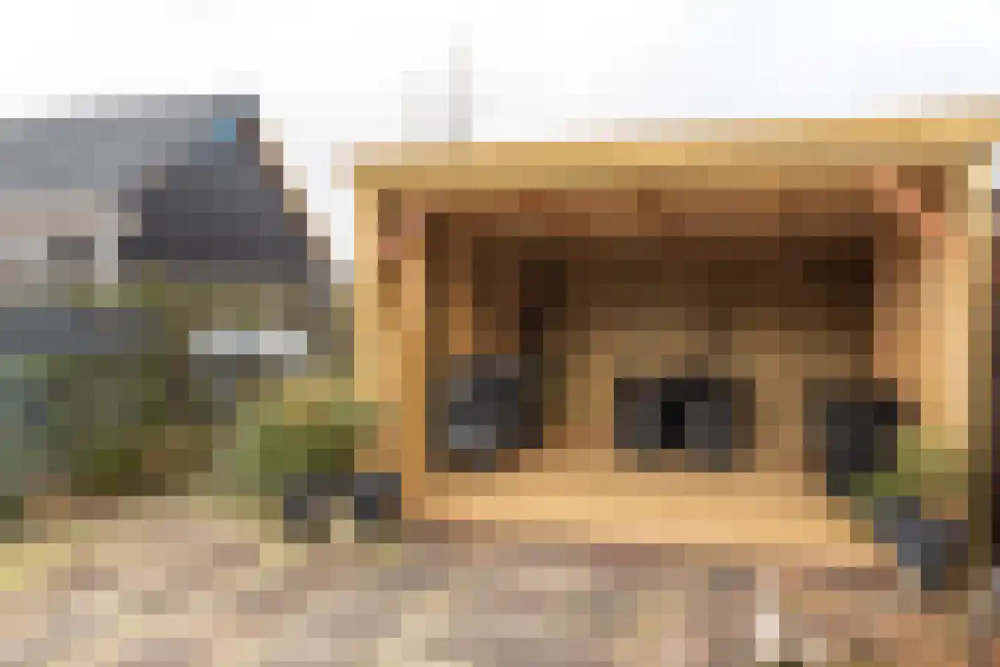 Tramstrjitte 8 Marsum thumbnail 26