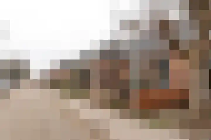 Tramstrjitte 8 Marsum thumbnail 30