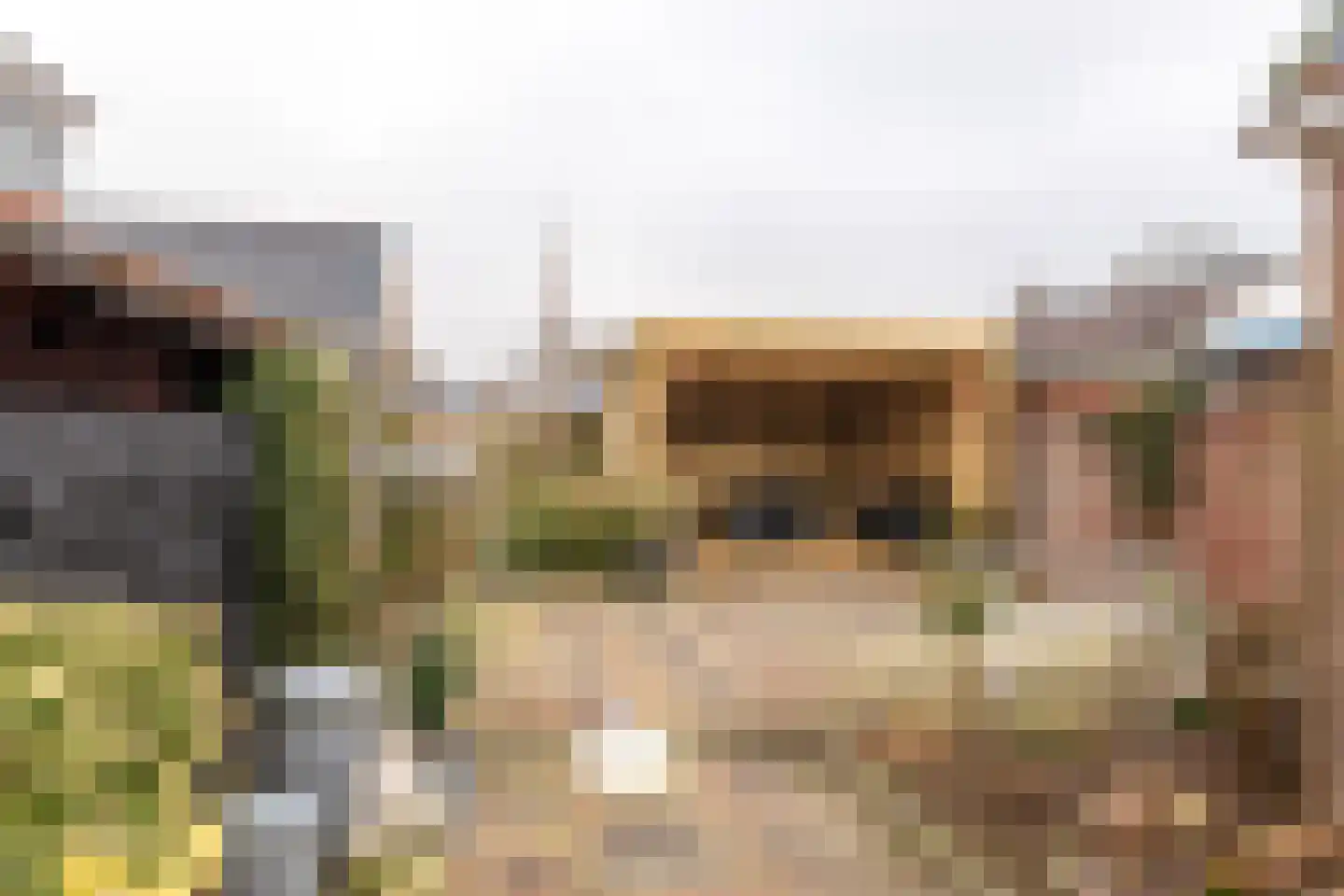 Tramstrjitte 8 Marsum thumbnail 4