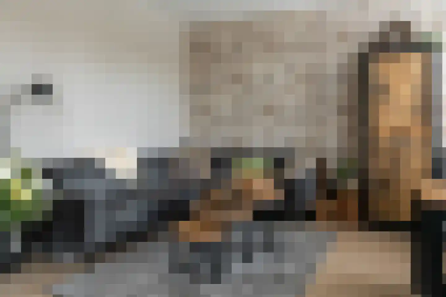 Tramstrjitte 8 Marsum thumbnail 7