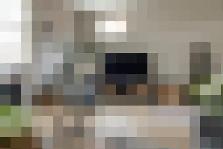 Tramstrjitte 8 Marsum thumbnail 8