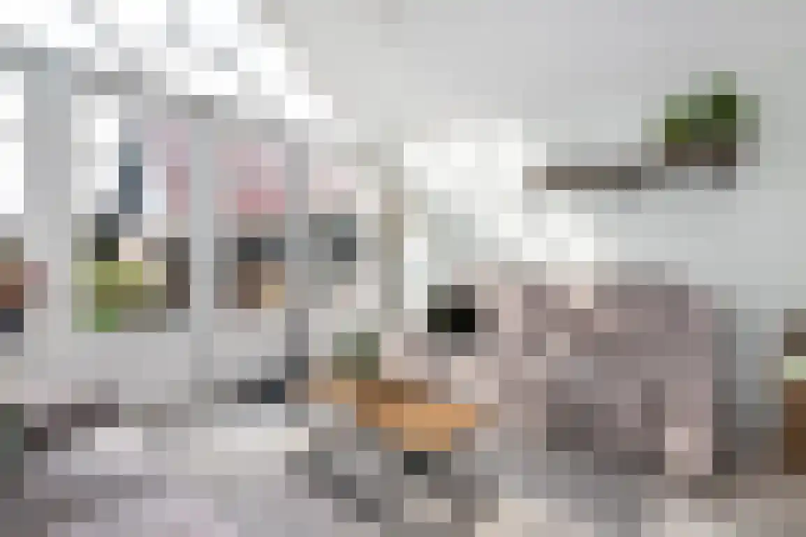 Tramweg 1 Dirksland thumbnail 18