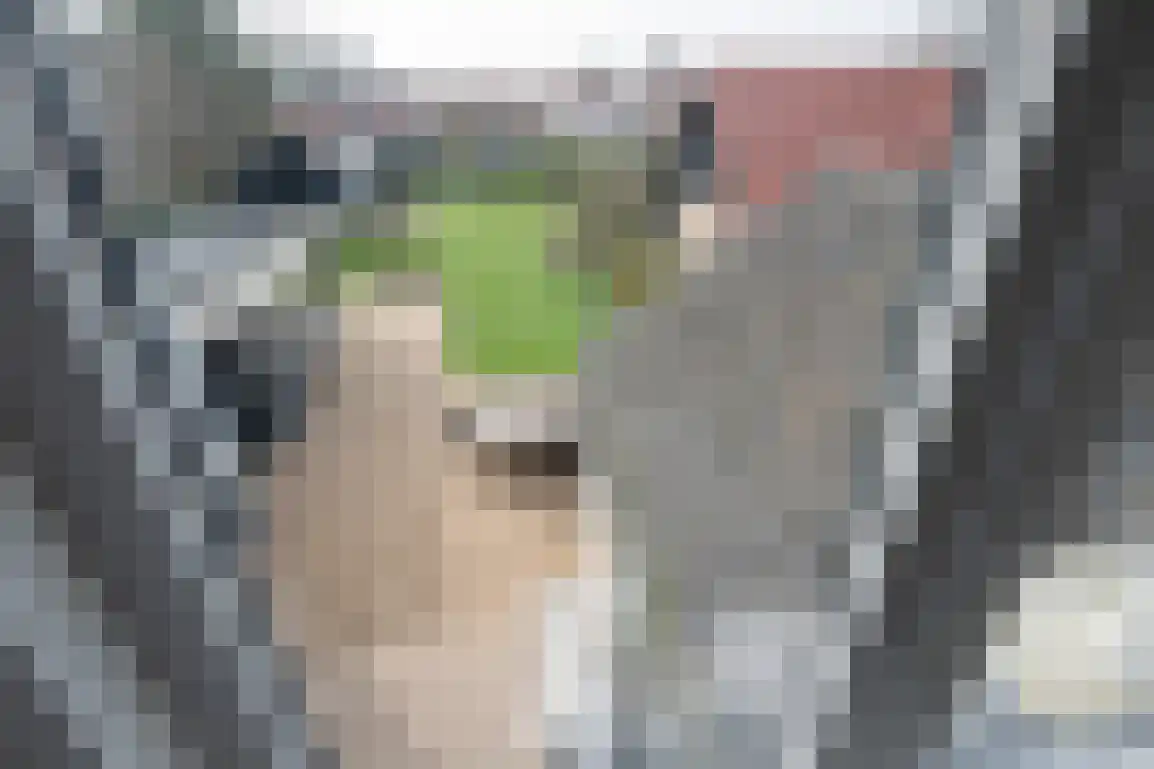 Tramweg 1 Dirksland thumbnail 38