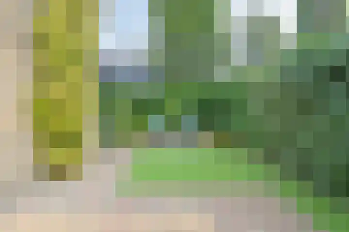 Tramweg 11 Dirksland thumbnail 31