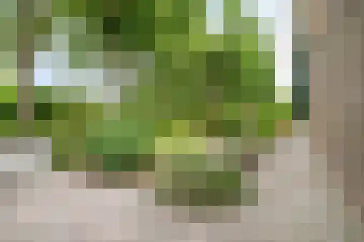 Tramweg 11 Dirksland thumbnail 34