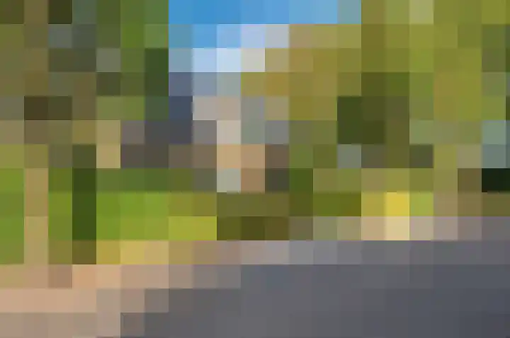 Tramweg 11 Dirksland thumbnail 35