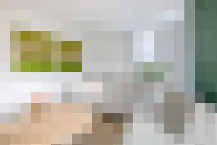 Tramweg 14 Liessel thumbnail 14
