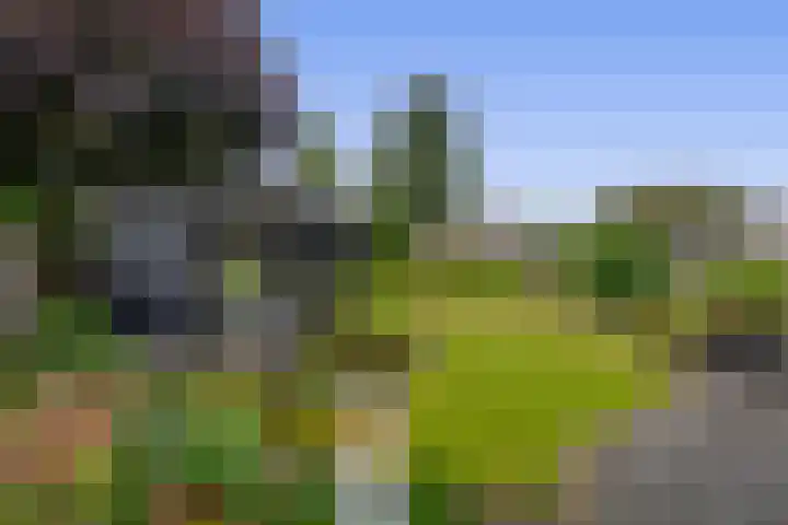 Tramweg 14 Liessel thumbnail 4