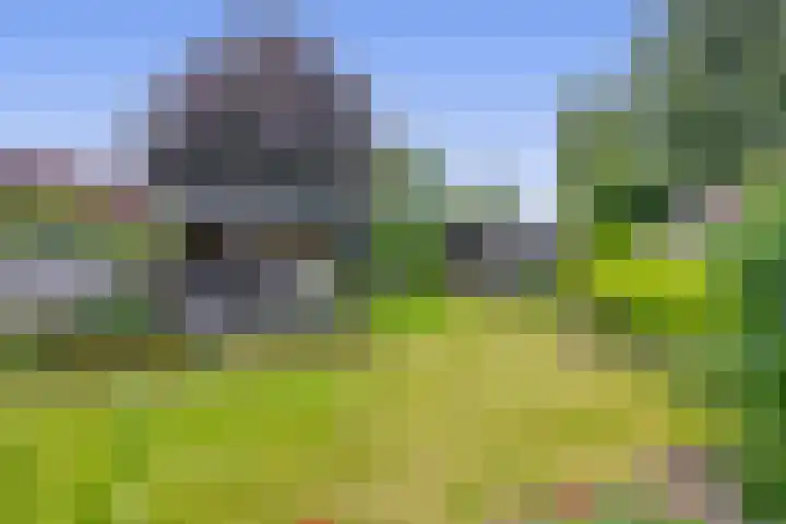 Tramweg 14 Liessel thumbnail 57