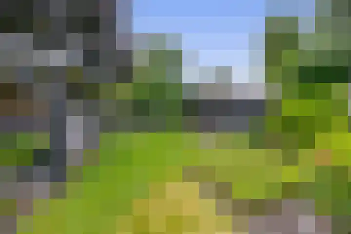 Tramweg 14 Liessel thumbnail 59