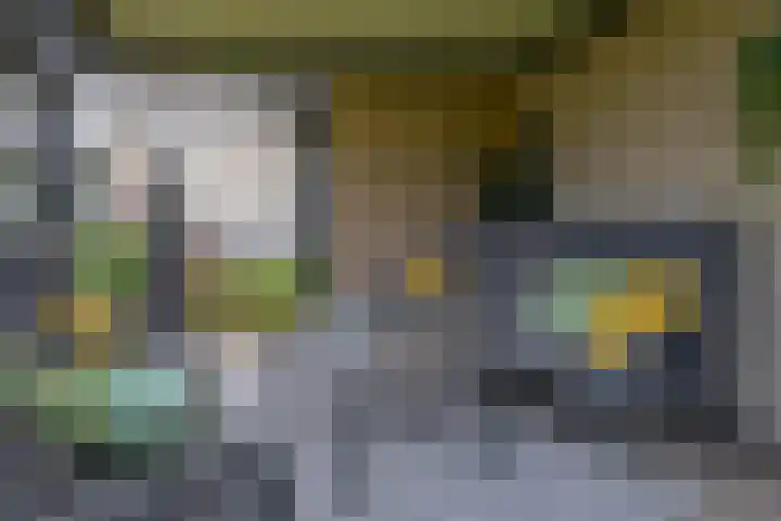 Tramweg 14 Liessel thumbnail 60