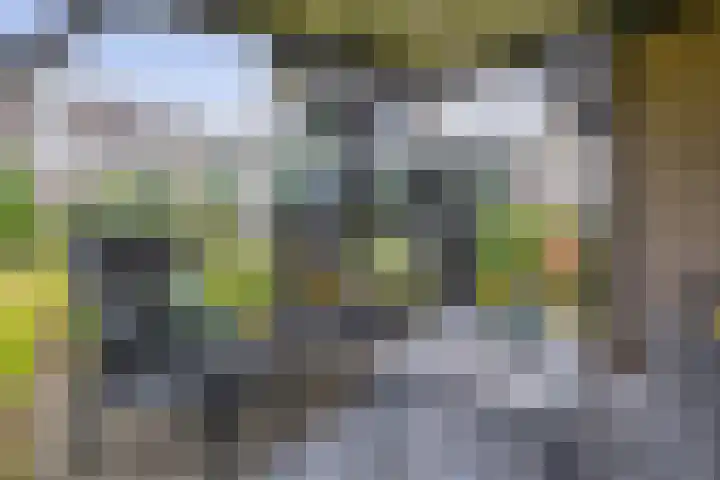 Tramweg 14 Liessel thumbnail 61