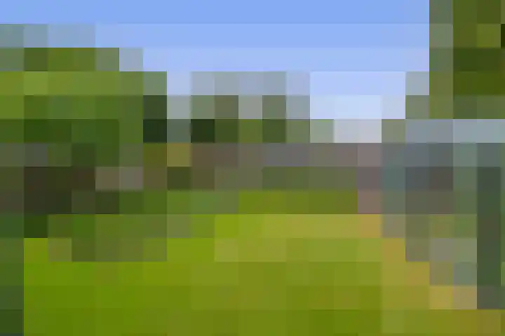 Tramweg 14 Liessel thumbnail 63