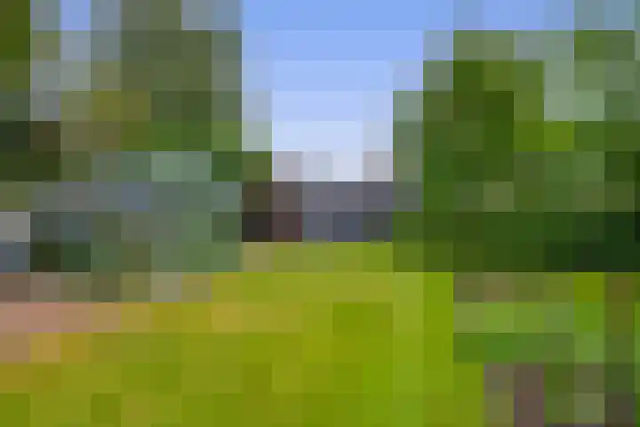 Tramweg 14 Liessel thumbnail 64