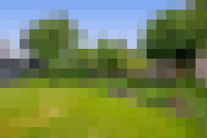 Tramweg 14 Liessel thumbnail 65
