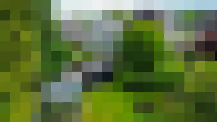 Tramweg 14 Liessel thumbnail 67