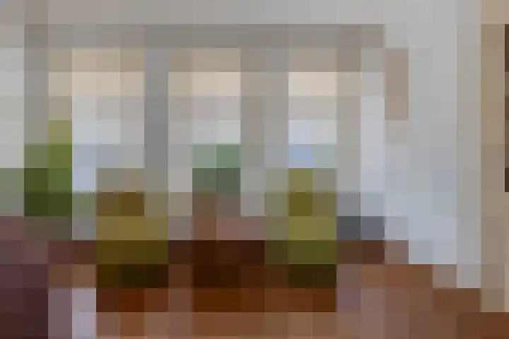 Tramweg 19 Liessel thumbnail 16