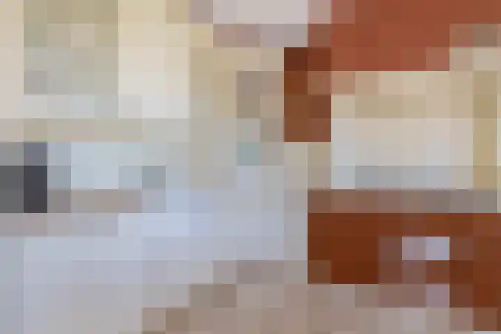 Tramweg 19 Liessel thumbnail 19