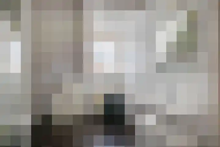 Tramweg 19 Liessel thumbnail 39