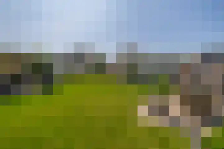 Tramweg 19 Liessel thumbnail 59