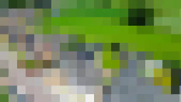 Tramweg 19 Liessel thumbnail 61
