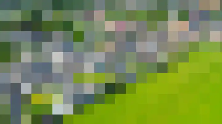 Tramweg 19 Liessel thumbnail 63