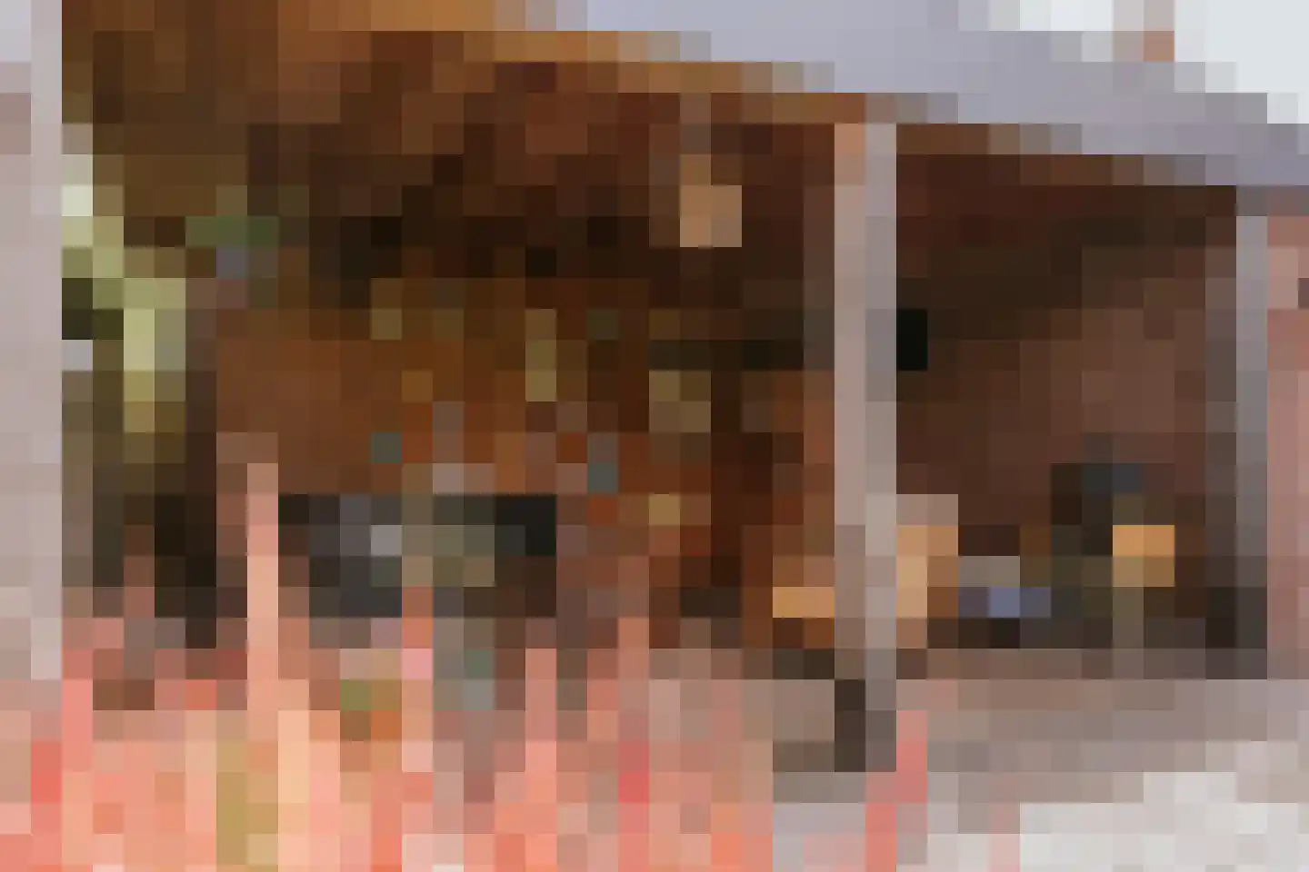 Tramweg 24 Herten thumbnail 33