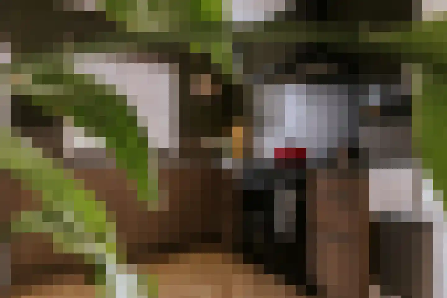 Tramweg 24 Herten thumbnail 6