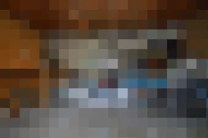 Tramweg 7 Liessel thumbnail 8
