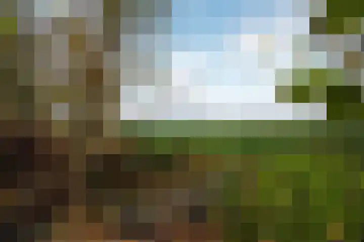 Tramweg 73 Smilde thumbnail 28