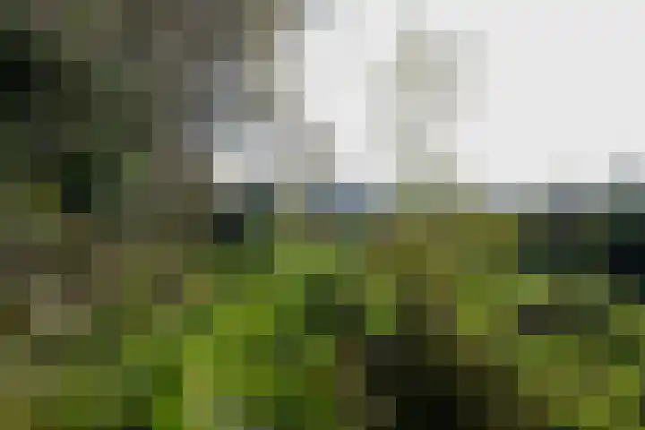 Tramweg 73 Smilde thumbnail 29