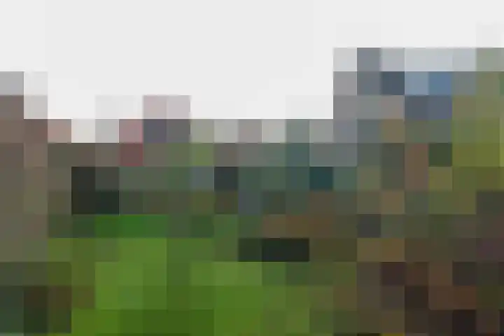Tramweg 73 Smilde thumbnail 30