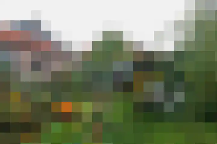 Tramweg 73 Smilde thumbnail 31